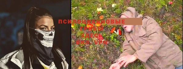 герыч Алзамай